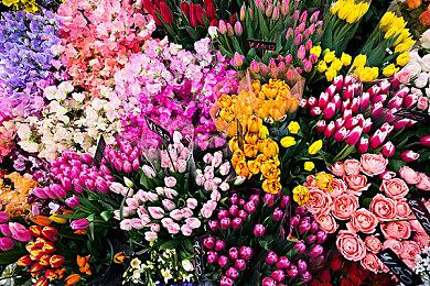 民间高手打造《明末》DLSS4 Mod 可全程高帧率